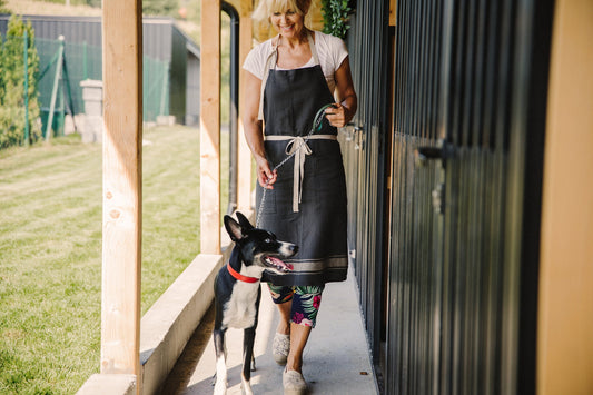 Pet Sitter or Kennel Boarding: Which is Right for Your Pet?