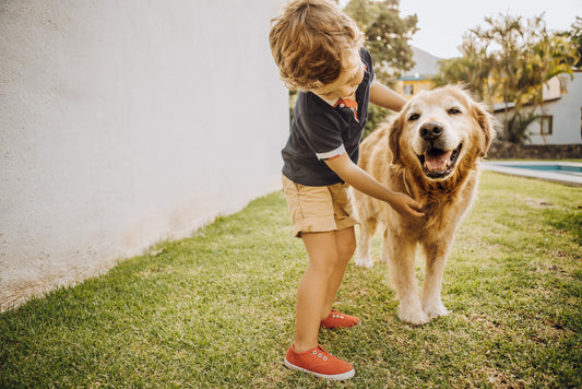 How to Introduce Your Children to Your New Dog