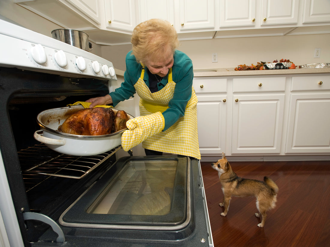 Thanksgiving Pet Safety Tips That Every Pet Parent Should Know