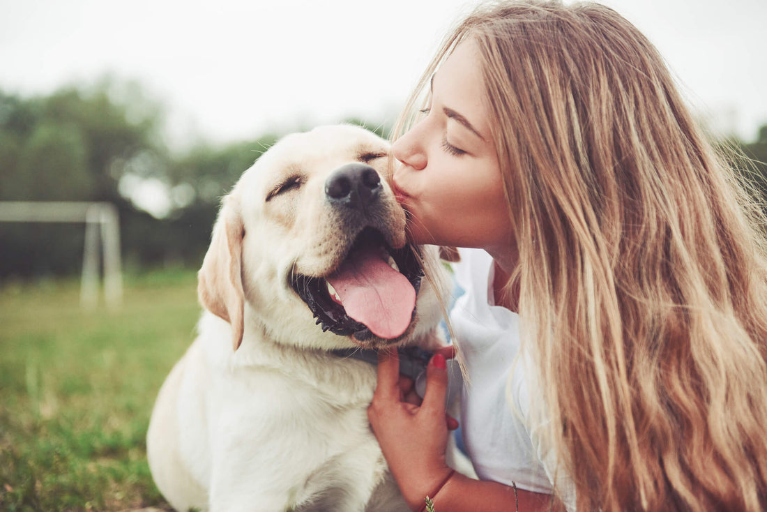 10 Ways to Tell if Your Dog Really Loves You
