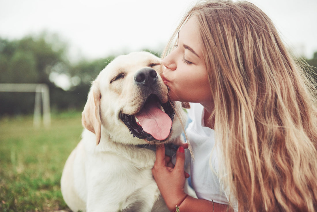 7 Things You Should Do for Your Pet Every Single Day