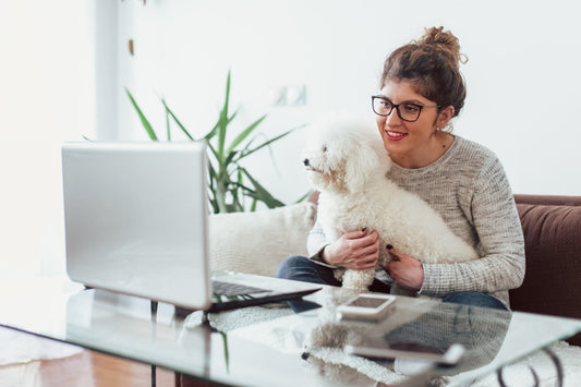Help Your Pet Stress Less During Quarantine