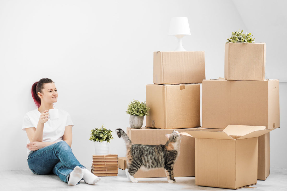 Moving House? Tips to Help Your Cat Adjust to a New Home