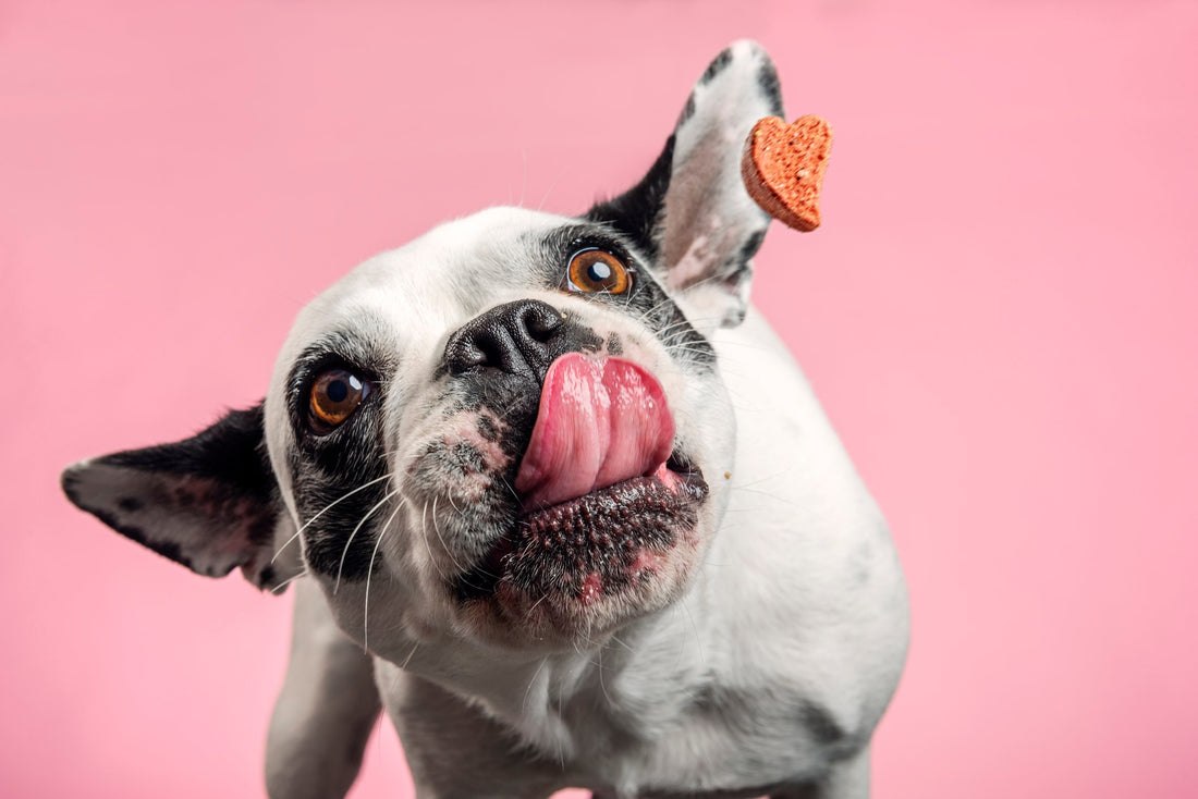 Introducing Pet Wellbeing Super Chews!