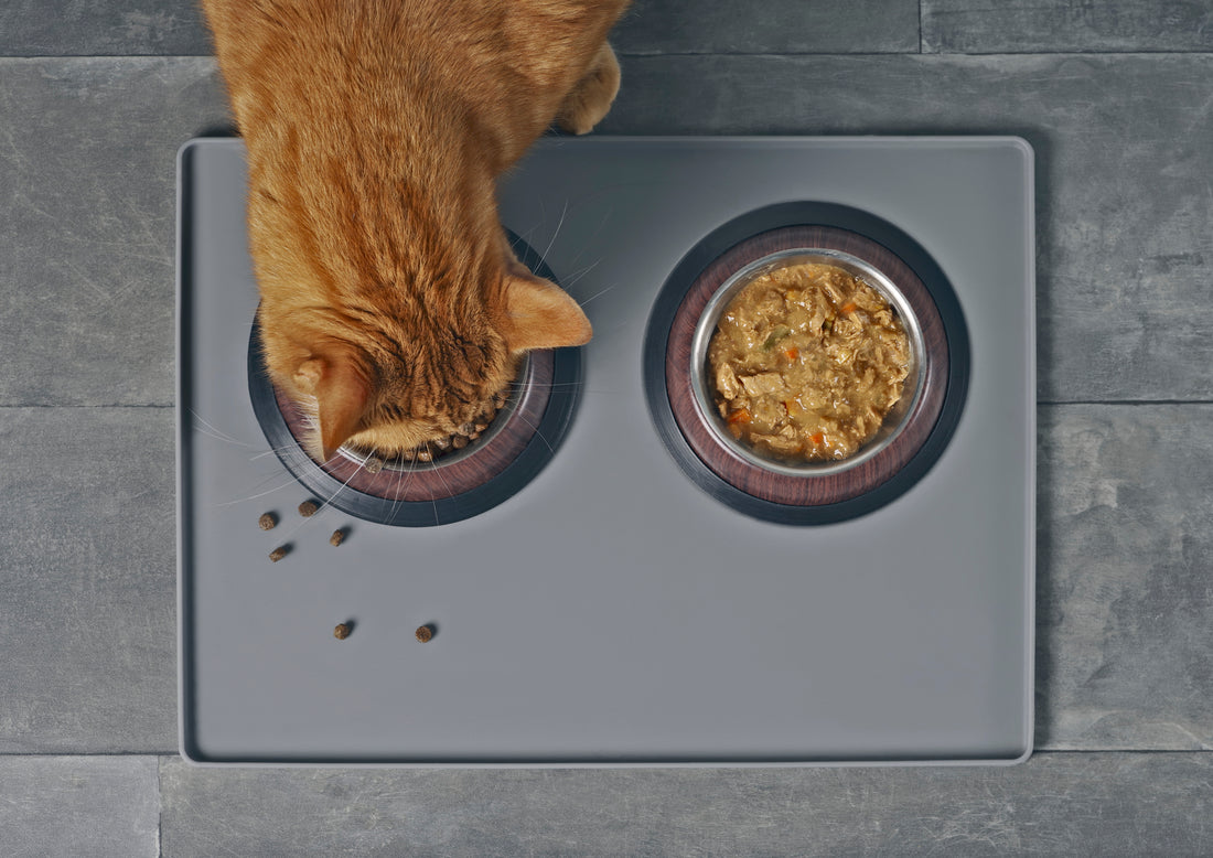 These Allergens Might be Causing Your Cat to React to Its Food