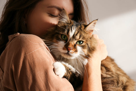 These 6 Overlooked Pet Care Routines Are So Important