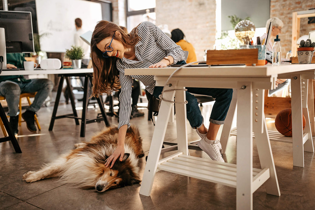 7 Tips to Ensure a Safe and Fun Take-Your-Dog-to-Work Day