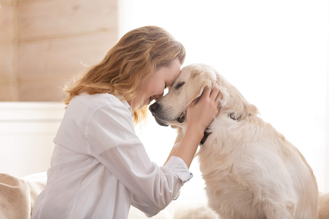 6 Ways Adopting a Pet Can Improve Your Life