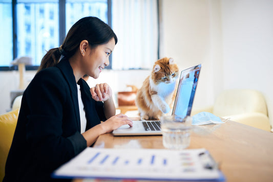 6 Ways to Keep Your Pet Busy While Working from Home