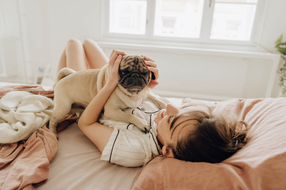 How A Morning Ritual Can Benefit Your Dog