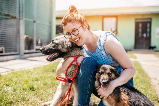 Why Rescuing a Dog is the Best Way to Adopt