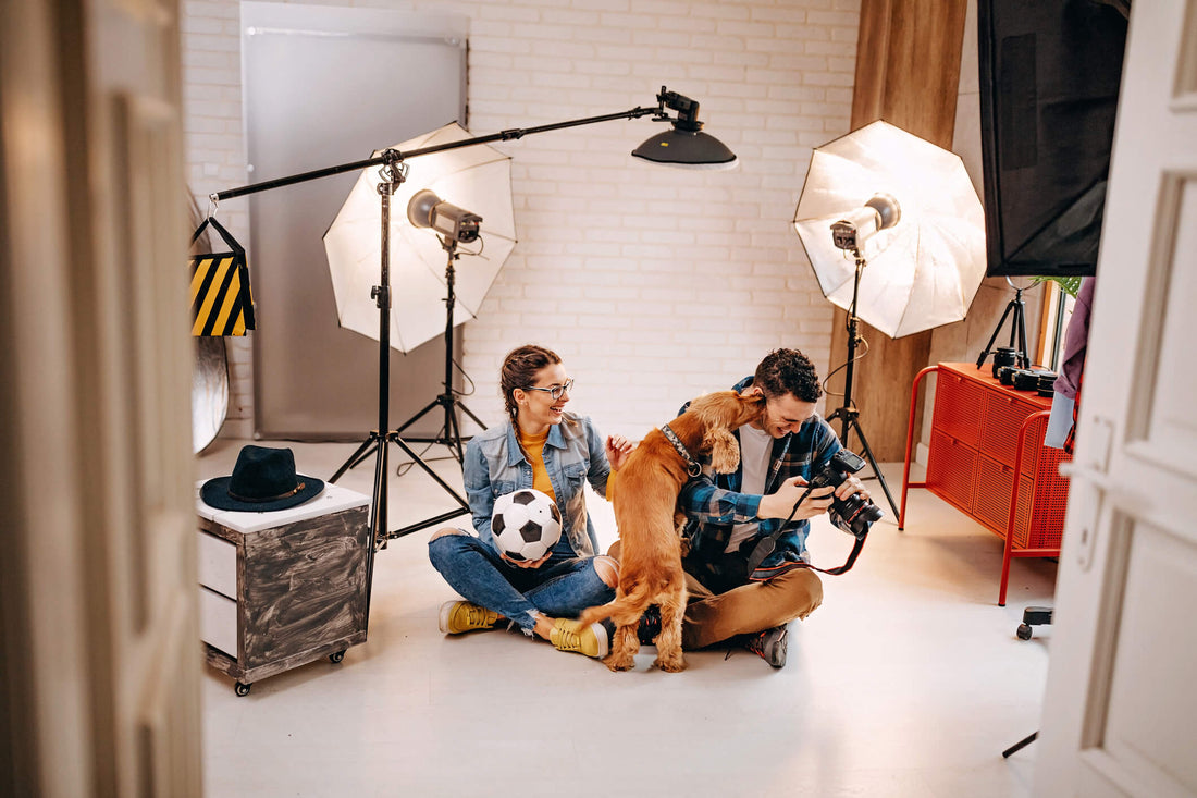 Prep Your Pets for a Perfect Photoshoot
