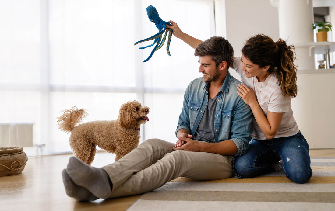 Congrats, You Adopted a Pet! 7 Special Considerations for a Smooth Transition