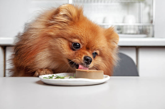 Is Liver Safe for Cats and Dogs?