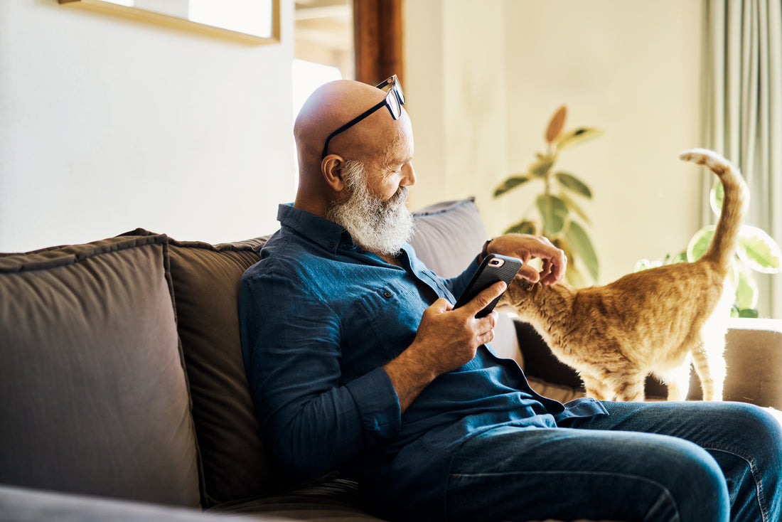 Expect These Changes In Your Aging Cats to Help Keep Them Happy
