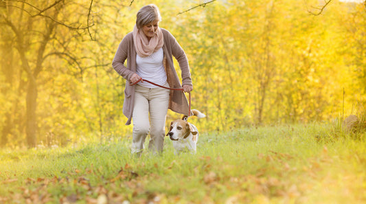 Senior Citizens Can Meet Health Requirements Simply By Walking Dogs