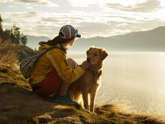 This is How Altitude Sickness Can Leave Your Dog High & Dry