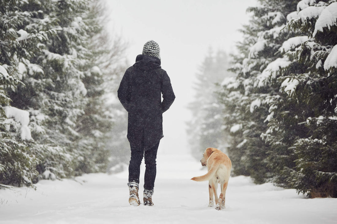 Be Mindful of Antifreeze and De-Icing Salts on Dog Walks