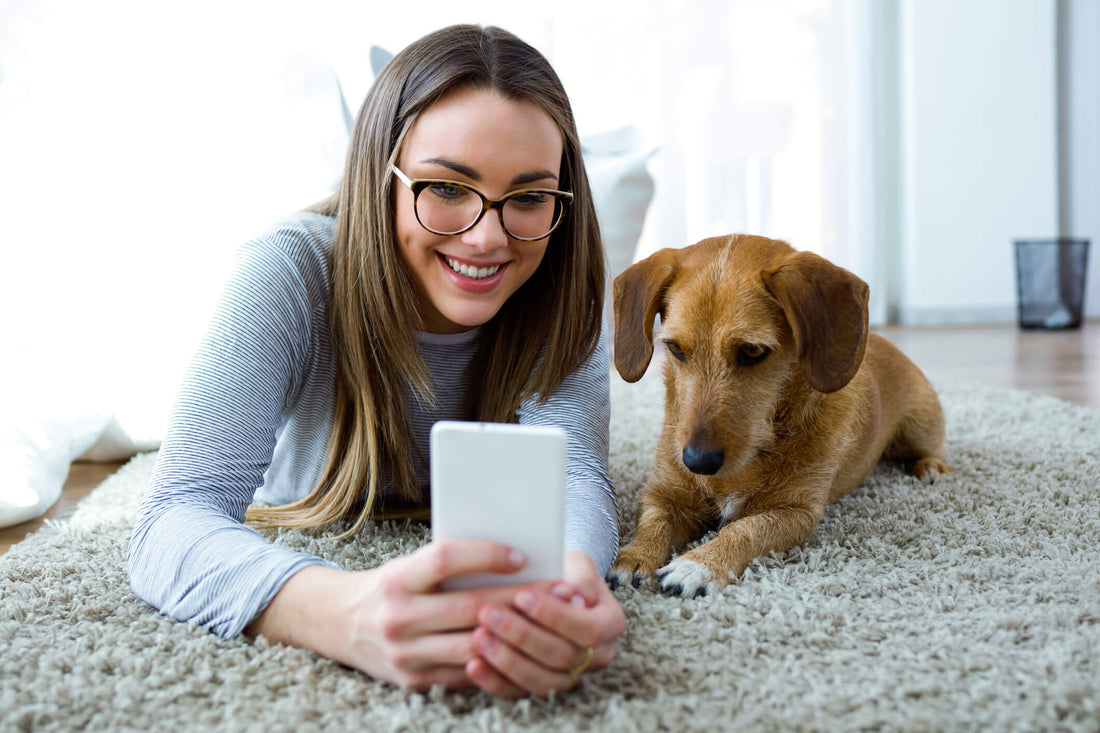 Is Your Pet Internet-Famous? Work With Us to Spread the Word!
