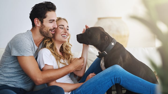 This Might Explain Why Couples With Pets Are So Much Happier