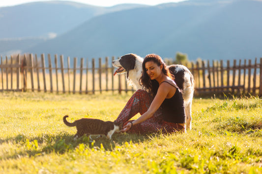 5 Alternative Treatments for Pet Cancer