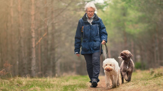 The Senior's Guide For Choosing A Pet Companion