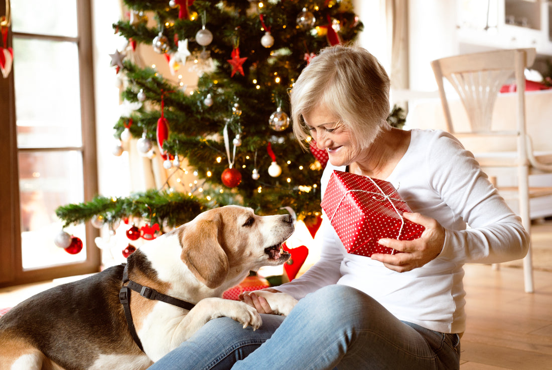 4 Supplement Gifts to Help Your Old Dog Feel Like a Puppy