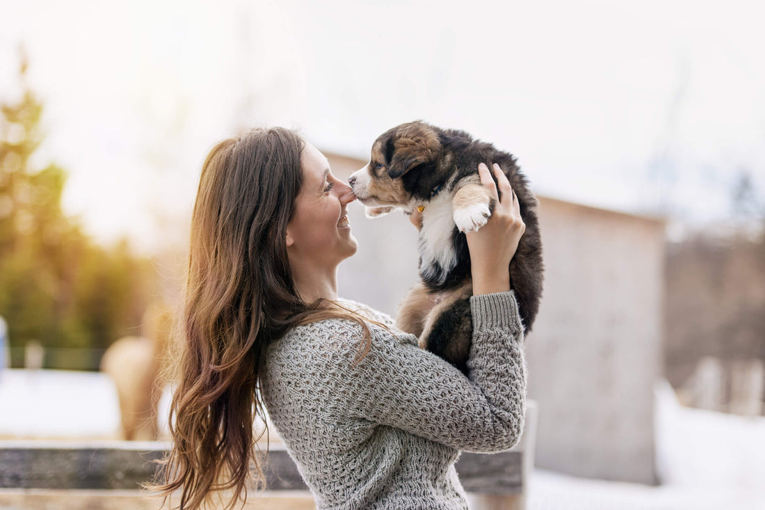7 Benefits of #AdoptDontShop for Your Next Pet
