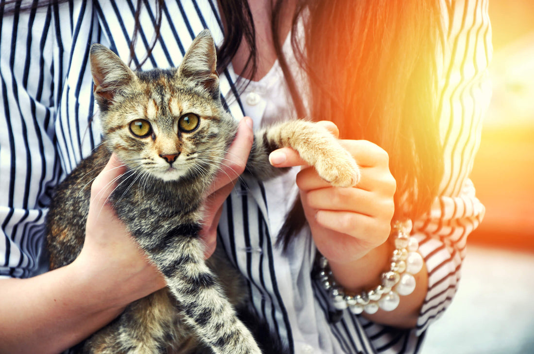 7 Reasons Fostering a Rescue Pet is Good For Mental Health—Yours & Theirs