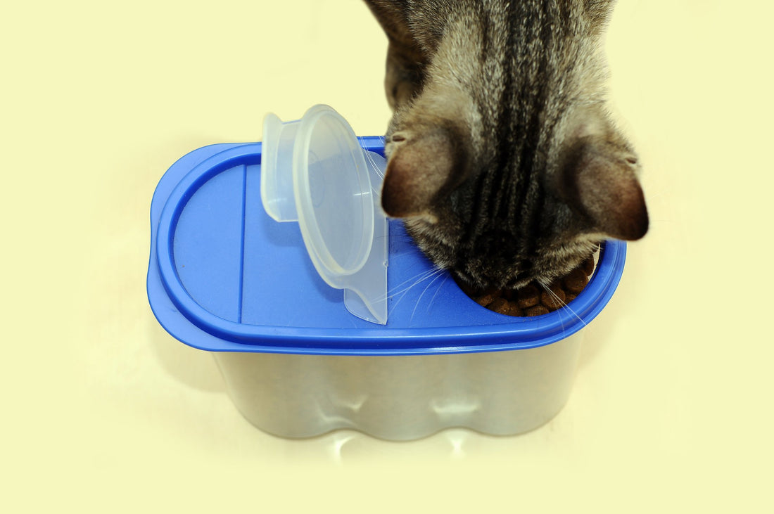 10 Tips for Pet Food Storage Safety
