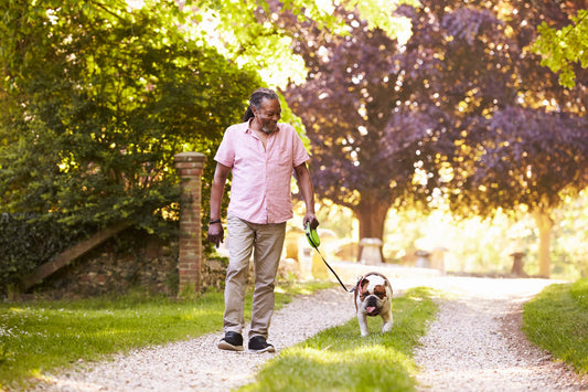 8 Ways to Keep Your Dog Exercising Despite Spring Seasonal Allergies