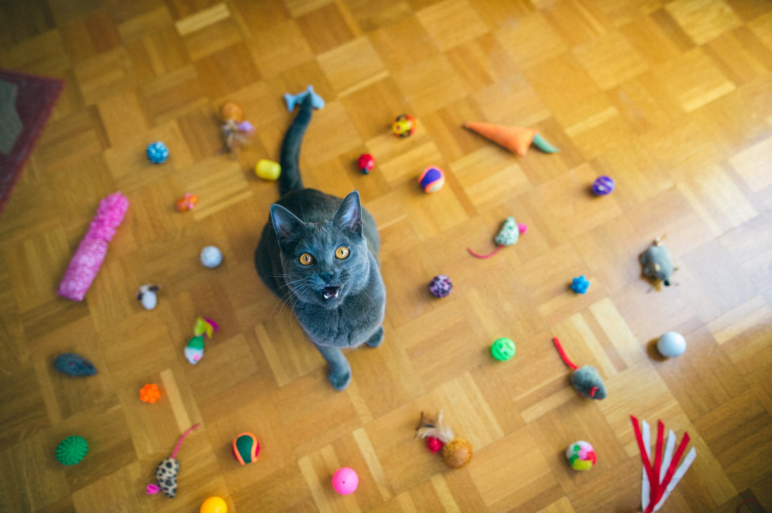 Feathers, Catnip and Strings, Oh My! Give Your Cat Pet-Safe Toys