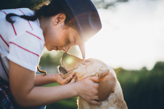 Best friend away from home struggles with dog's heart disease