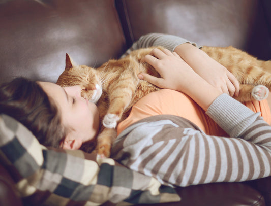 Discover How Kidney Support Gold Miraculously Saves Near-death Older Cat From Kidney Disease