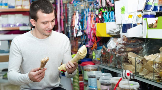 5 Tips For New Dog Owners