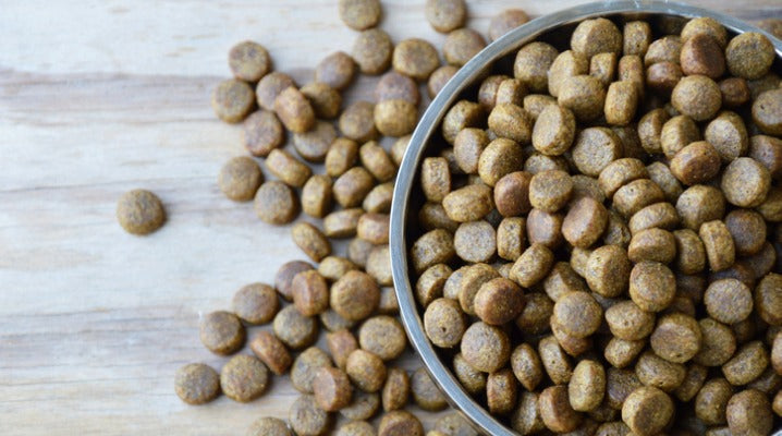5 Ingredients You Need to Avoid When Buying Healthy Pet Food
