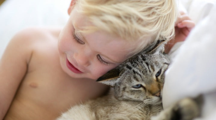 Is Your Toddler the Source of Your Cat's Newfound Anxiety?