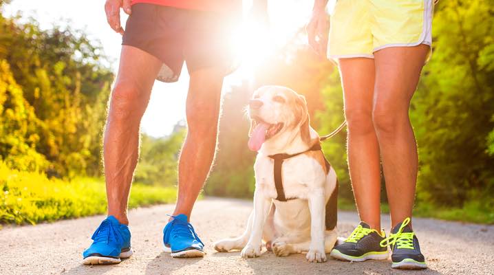 Exercise with your Pets for Pet Wellbeing and disease prevention