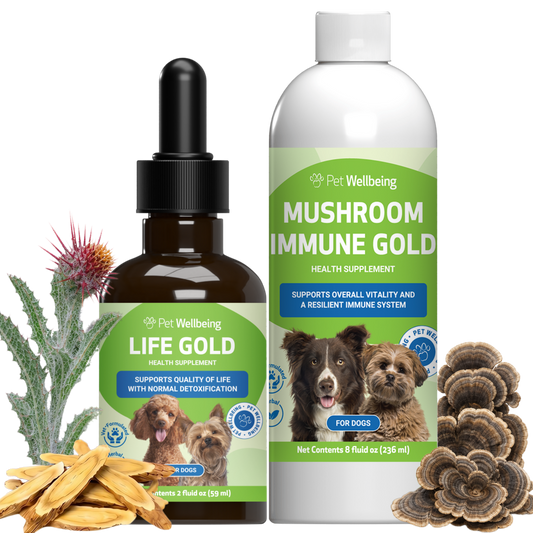 More Mushrooms Kit - Complementary and Alternative Care for Dog Immune and Antioxidant Support