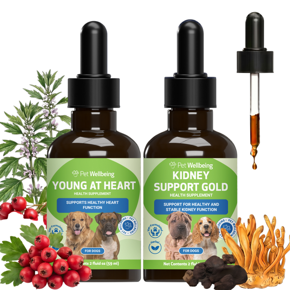 Young at Heart & Kidney Support Gold Bundle for Dogs - Holistic Heart & Kidney Health Care