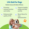 Life Gold - Immune, Antioxidant, and Detoxification Support for Dogs