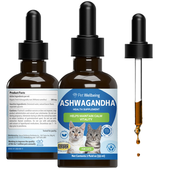 Ashwagandha - for Calm, Adrenal & Vitality Support in Cats