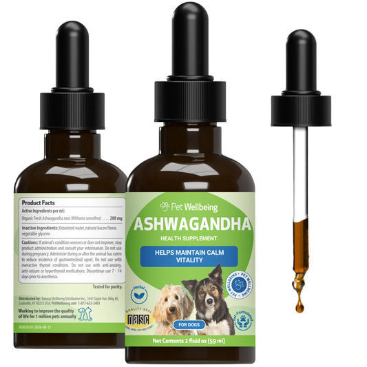 Ashwagandha - for Calm, Adrenal & Vitality Support in Dogs