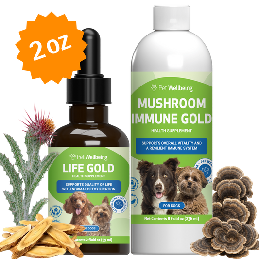 More Mushrooms Kit - Complementary and Alternative Care for Dog Immune and Antioxidant Support