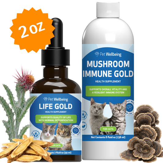 More Mushrooms Kit - Complementary and Alternative Care for Cat Immune and Antioxidant Support