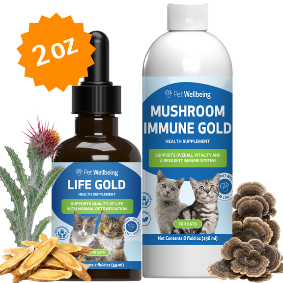 More Mushrooms Kit - Complementary and Alternative Care for Cat Immune and Antioxidant Support