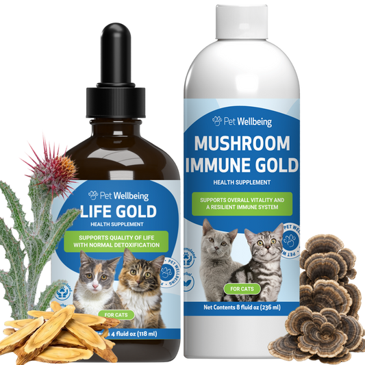 More Mushrooms Kit for Cats - Complementary and Alternative Care Immune & Antioxidant Support - Value Size