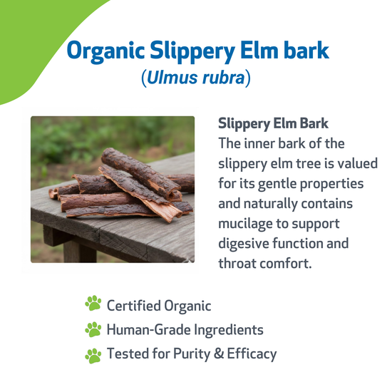Slippery Elm for Healthy Digestive Tract and Throat Tissue in Dogs