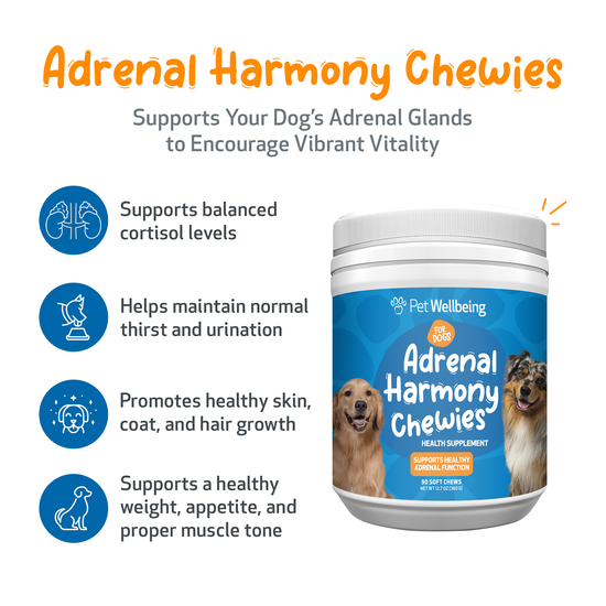 Adrenal Harmony Chewies - for Cortisol Balance and Adrenal Function in ...