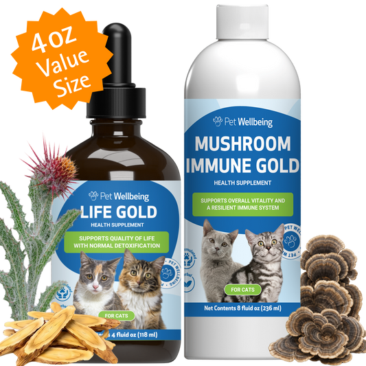 More Mushrooms Kit for Cats - Complementary and Alternative Care Immune & Antioxidant Support - Value Size